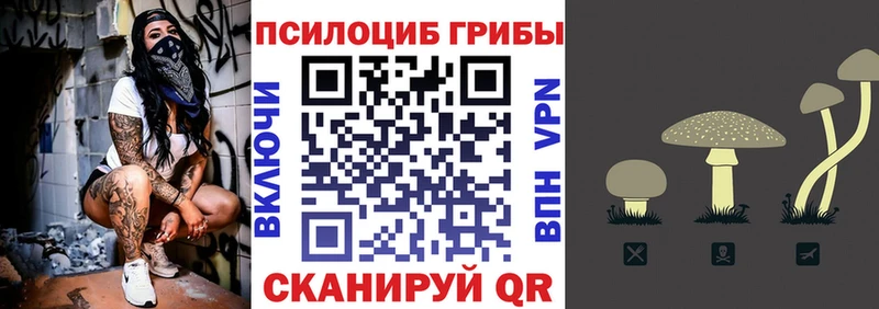 где найти   Буй  мега ссылки  Галлюциногенные грибы MAGIC MUSHROOMS 